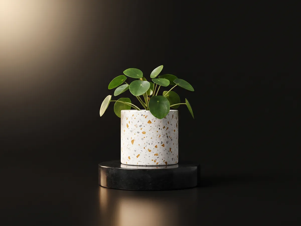 desk plant in a terrazzo pot